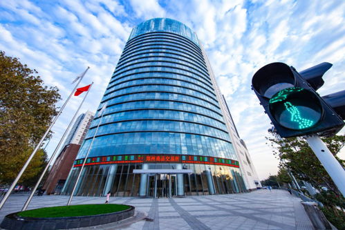 聚焦河南自貿五周年 自貿區政策賦能，鄭商所將新設商品交易中心